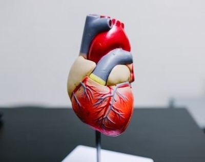 Coronary Calcium